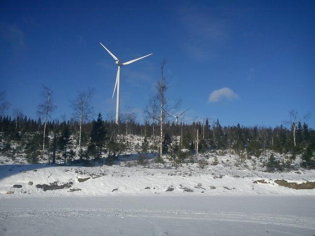 Kontrollprogram fågel Stor-Rotlidens