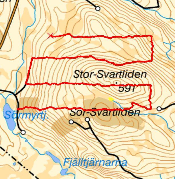 Sträckning av inventeringslinjerna på Stor-Rotliden(röd) och Norr-Rotliden(orange) i den vänstra kartbilden och för referensområde Stor-Svartliden(röd linje) i den högra kartbilden.