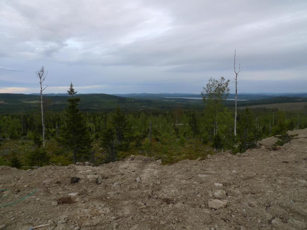 Uppdragsgivare: Vattenfall Vindkraft AB, Utförare: EKOM AB Häckningsframgången har följts upp via kungsörnsgruppens arbete och genom att kända bon besökts och häckningsframgång dokumenterats, även