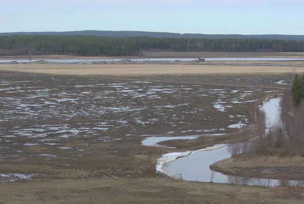 Bild 5. Vy över Skäret den 4 maj 2009. Isen och snön är nu borta.
