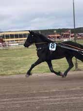 TRAVEXPERTENS TIPS V-förslag V-:,,,,0 V-: Survival Kit V-:,,,, V-:,,,,,,,0,, Rader: 0 st Kostnad: 00 kr Av Mats Persson V-förslag V-:,,,, V-: Gl