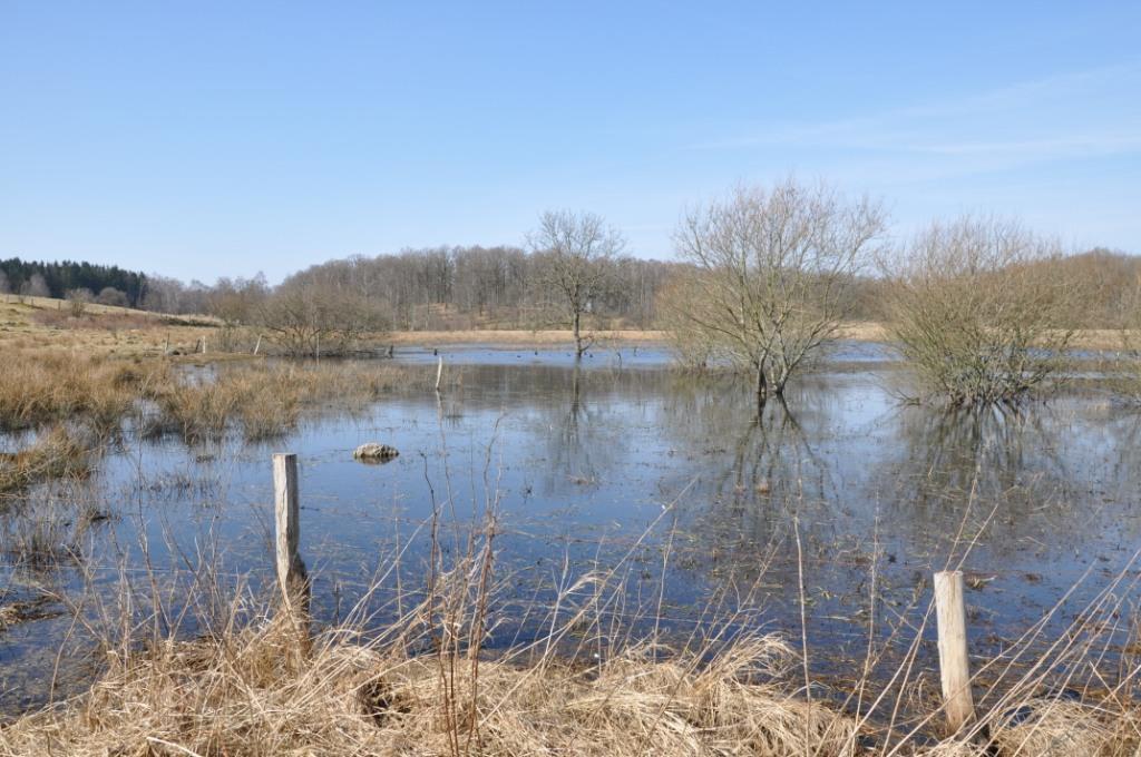 Höör Kärrarp 1:20 del av Om Skog & Lantbruk Skog & Lantbruk är ett rådgivningsföretag som arbetar med följande tjänster