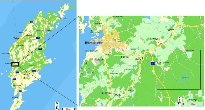 Lokalisering Gotland är det område i Sverige som har tillräckligt god kvalitet och kvantitet av kalksten för stålindustrins behov.