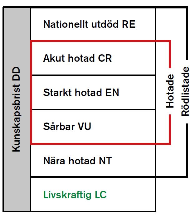 11. Ansvarsarter I Öckerö kommun finns två växter som är så sällsynta att de omfattas av Naturvårdsverkets åtgärdsplaner.