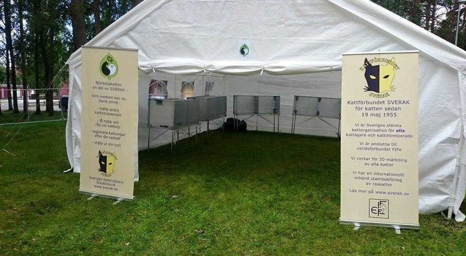 MEDLEMMAR FÖRMÅNER Medlemmarna i BJK får vara med på föreläsningar och kurser som klubben ordnar gratis eller till rabatterat pris.