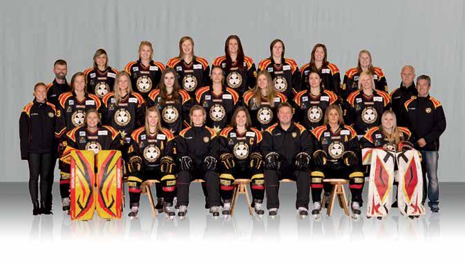 Brynäs IF A-lag Placering 2013/2014: Utslagna i kvartsfinal Bakre raden från vänster: Magnus Sjöberg (läkare), Emil Molin, Daniel Brodin, Robin Jacobsson, Jonas Nordquist, Johan Harju, Simon Löf,