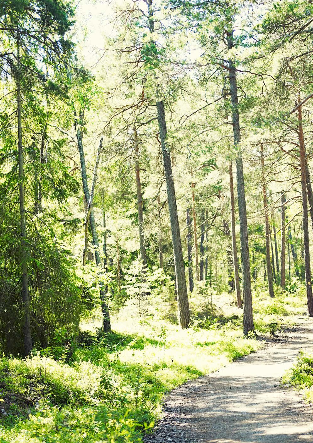 Det bästa ET FÖR DIN SKOG