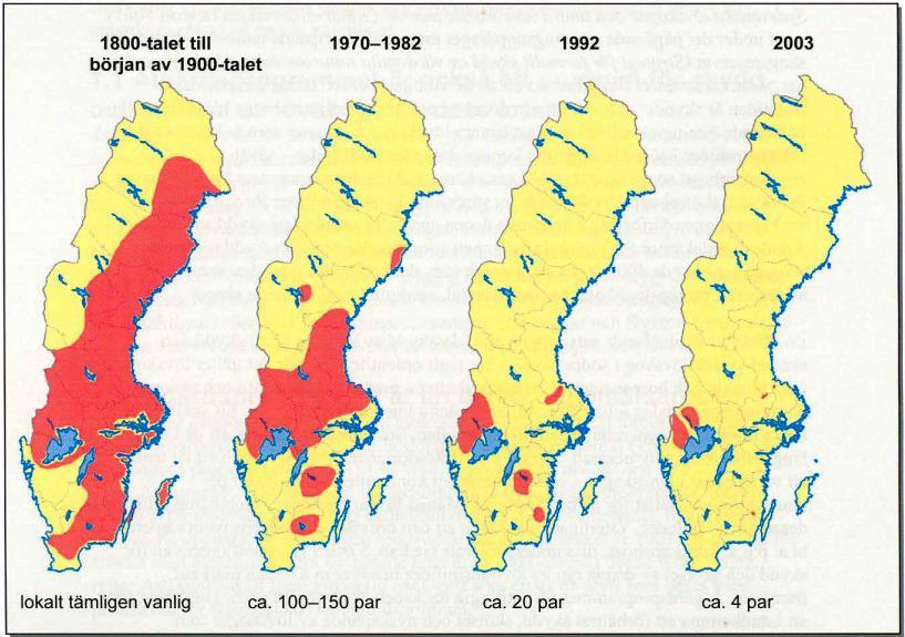 Figur 1 Den vitryggiga hackspettens utbredningshistoria från 1800-talet och fram till modern tid.