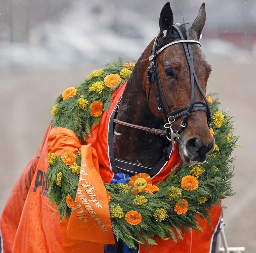 ÄRJESTAD RI ENTRÉ