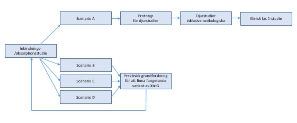 framtida kapitalbehov skulle i detta scenario uppgå till cirka 20-25 MSEK och räcka till och med årsskiftet 2020/2021.