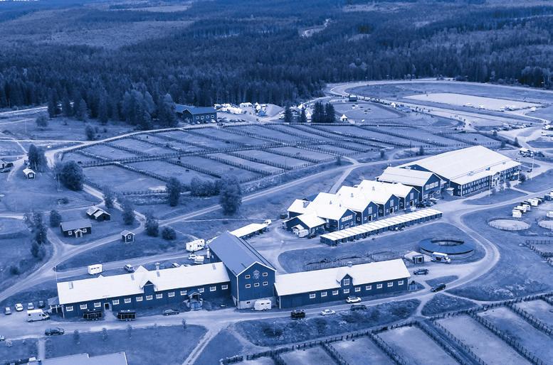 Trettio ungdomar från hela Sverige deltar och här är de: Axevalla Bergsåker Boden Bollnäs Dannero Eskilstuna Färjestad Gävle Hagmyren Halmstad