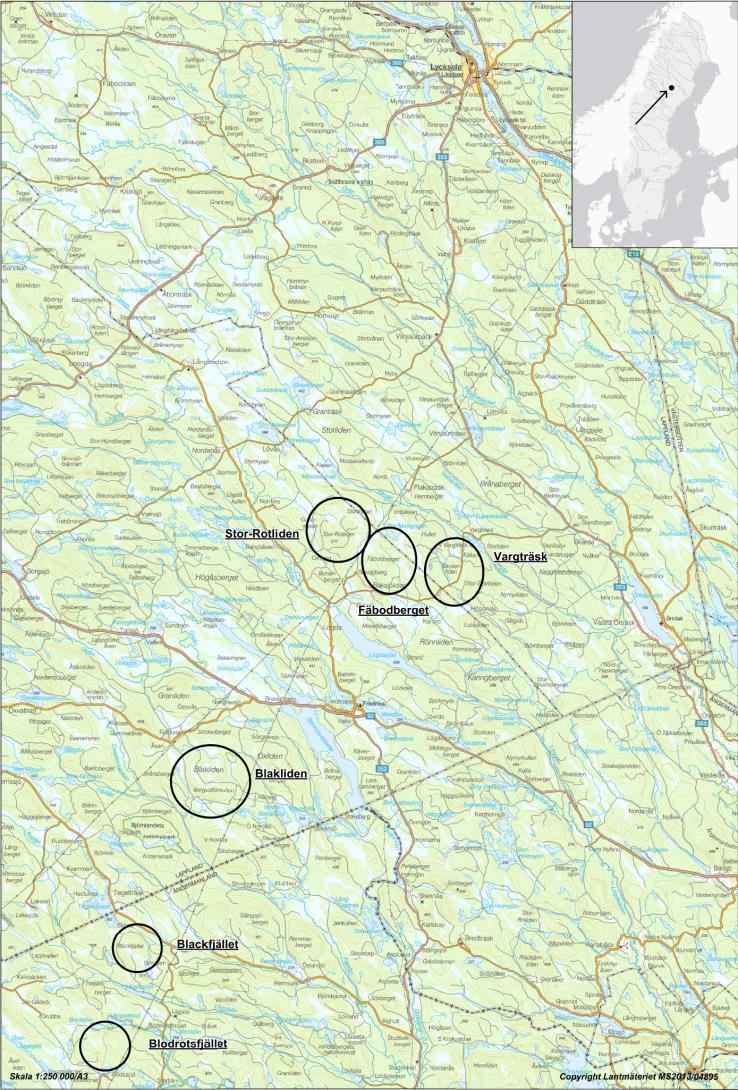 BLAKLIDEN & FÄBODBERGET o Åsele och Lycksele kommuner o ca 84 vindkraftverk (50+34) o Utmärkta vindförhållanden (7,7 m/s) o Maximalt 180 meters