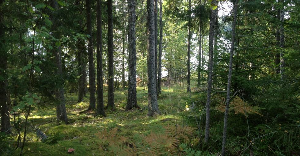 det är tekniskt möjligt och ekonomiskt rimligt (i anslutning till tätorter där kommunalt VA finns utbyggt).