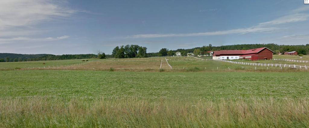 Inom LIS-område Graningebadet (N) finns en mindre våtmark och Torsviken (N) finns sumpskog, vilka behöver tas hänsyn till vid utveckling av områdena.