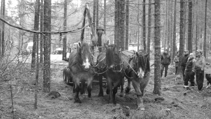 Grötkväll på Ryasjö Hästgård Grötkvällen är en lika uppskattad avrundning av året som alltid. Till en början såg det mörkt ut då det knappt kom in några anmälningar, men rätt som det var fanns ca.