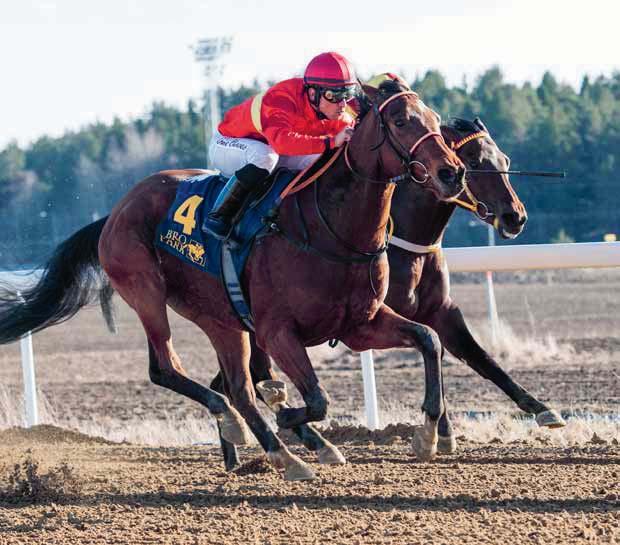 NR ONSDAG 9 MARS 07 KL.0 BRO PARK Det våras på galoppbanan med nio lopp! Bent Olsen-tränade Sliceoflife och Elione Chaves vann på Bro Park både den mars och den 9 mars.