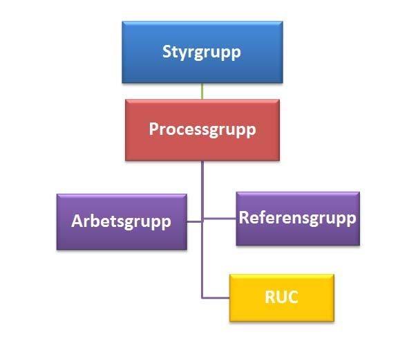 Organisation Styrgrupp Styrgrupp bestående av den strategiska gruppen, med förvaltningscheferna från regionen samt representanter för högskolan i Halmstad och Region Halland.