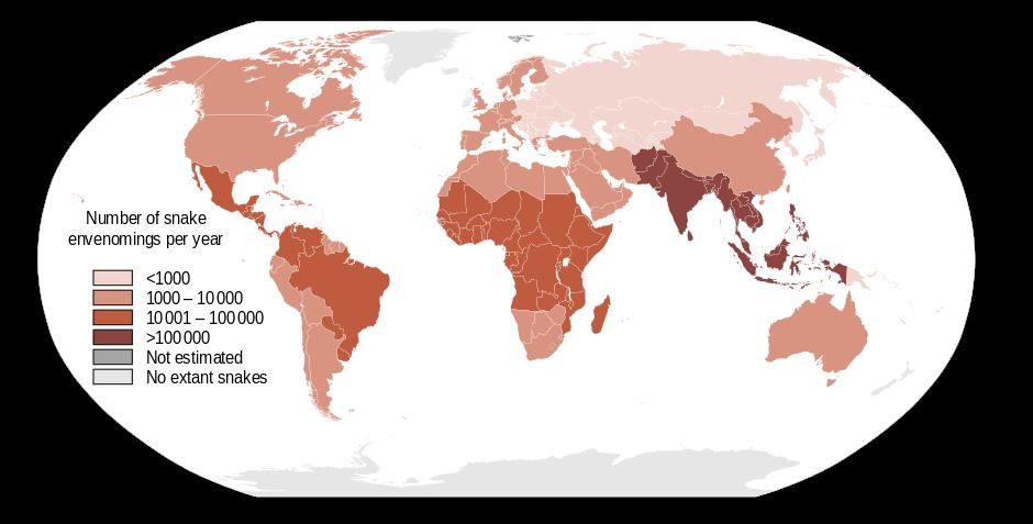 ORMBETT GLOBALT Antal bett med giftinjektion: 1 2 miljoner. Det totala antalet bett kan vara 2-3 gånger fler. Antal dödsfall: 70.000 - >100.000 (Indien 50.