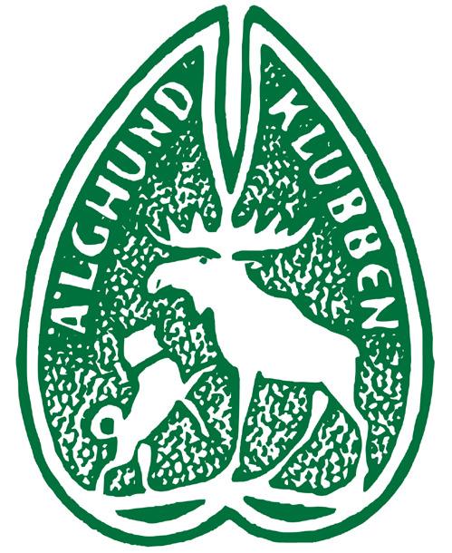 Raskompendium för