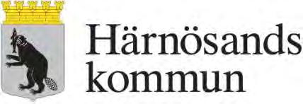 Verksamhetsplan 2019 Socialnämnden 2019