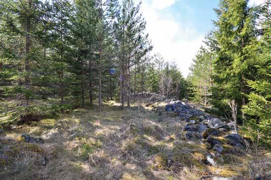 Meddelande 5 2016 Kulturarv i skogen Kerstin