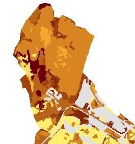 Figur 4. Exempel på värdefullt område för fladdermöss (Järvafältet). 7.