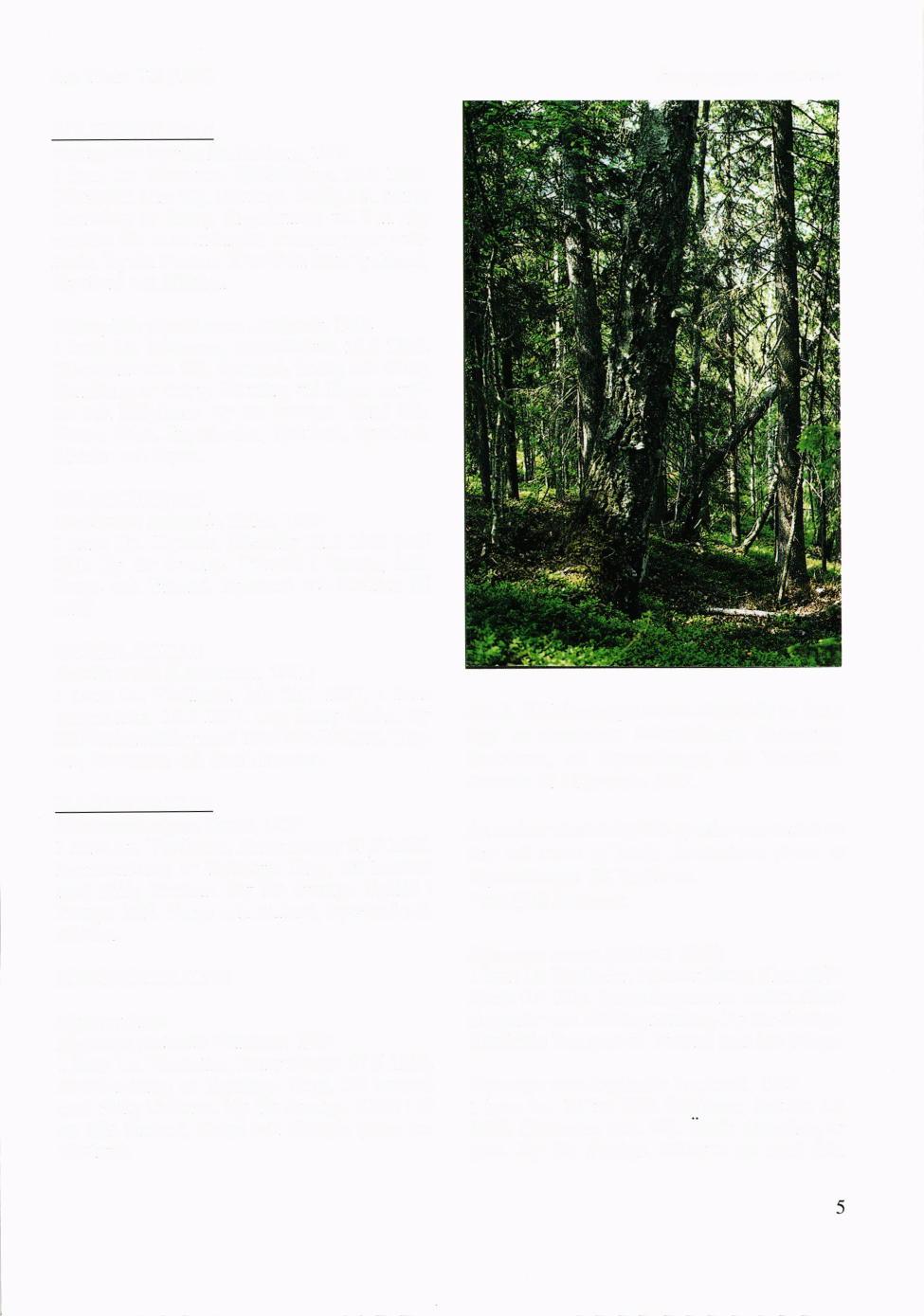 Ent. Tidskr. 1 19 (1998) Svampmyggor - nya arter BOLITOPHILIDAE Bolitophila ingrica Stackelberg, I 969 I hane Lu. Messaure, Kaltisbdcken 18.6 1996. (Karstrcim omr. 30).