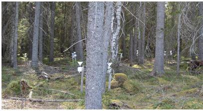 RAPPORT För länsstyrelserna i Dalarnas, Jämtlands, Västernorrlands, Västerbottens och