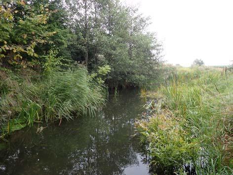 intermediär Bottensubstrat: finsed, grus, sten1 Närmiljö: äng, åker Beskuggning: 10% Ved i vattnet (antal/100m 2 ): 0 Höjd över havet (m): 26 Vattentemperatur ( C): 10,6 ph: 7,8 Konduktivitet (ms/m):