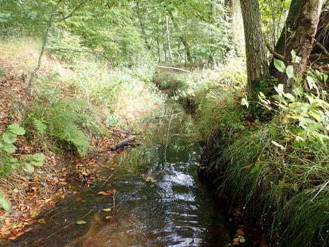 Vattensystem Vattendrag Lokalnummer Datum Höje å 091 Billingabäcken 61:15 2015-10-08 Lokalnamn Lokalkoordinater Kommun Karta 3 km O.