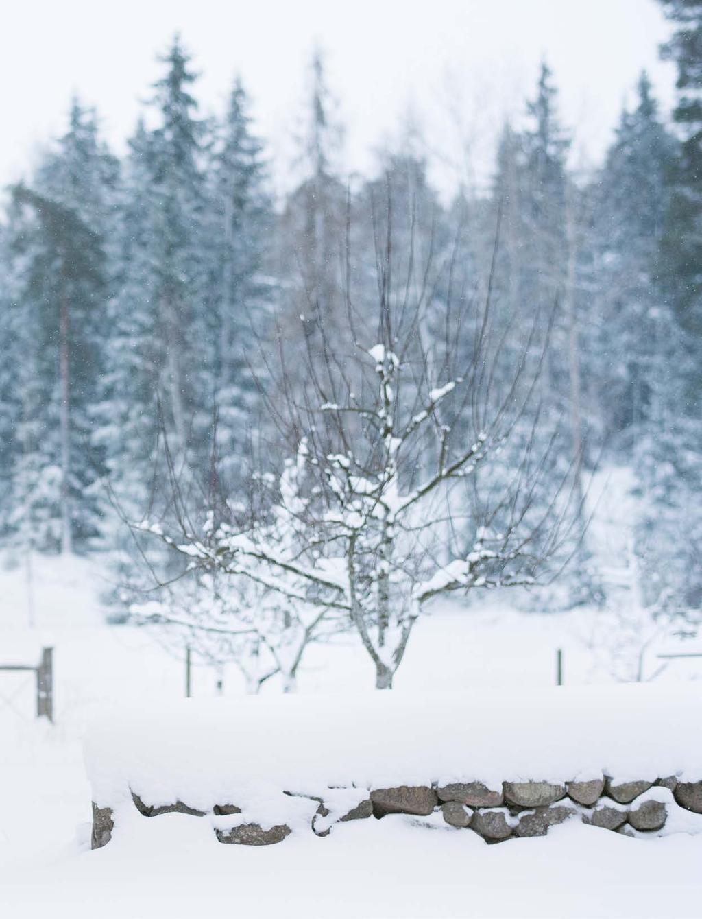 BOHLINS BOKSTÄVER Jonas Bohlin har ett både kroppsnära och principiellt förhållande till svensk sten naturstenar har blivit som bokstäver för honom.