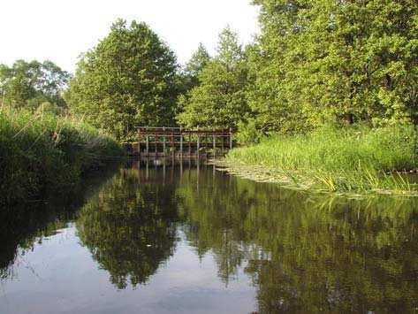7.3 Vombsänkan (7.3.3) 10 Klingavälsån mellan Vombs ängar och Ljungen (2) Area: 24 ha Status: Riksintresse (NV), naturreservat, NATU- RA 2000, strandskydd,