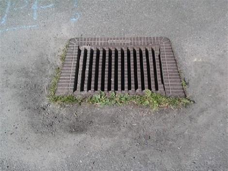 Sida 16 (23) Mycket jord kvar vid dagvattenbrunn intill plaskdamm. Exempel på bristande städning. Mycket förna från tät vegetation kvar på hårdgjord yta intill plaskdamm.