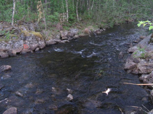 Resultat Bottenfauna Lokalbeskrivning Nyträskbäcken var ca 5,1 meter bred vid bottenfaunalokalen, vilken ligger strax nedströms resterna av timmerrännan, där ett mindre sel övergår i en strömsträcka