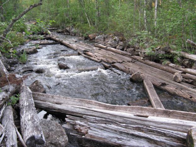 Elfiske Lokalbeskrivning Nyträskbäcken var lite drygt fem meter bred vid på den elfiskade lokalen, dock elfiskades endast en bredd av ca tre meter då de kvarvarande resterna av flottningsrännan