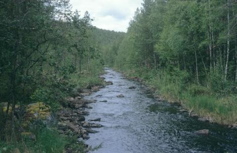Det bidrar även till en höjd vattennivå jämfört med under flottningsperioden (vilket även trösklarna på 1980-talet syftade till att återskapa), men med ett naturligare utseende på vattendraget.