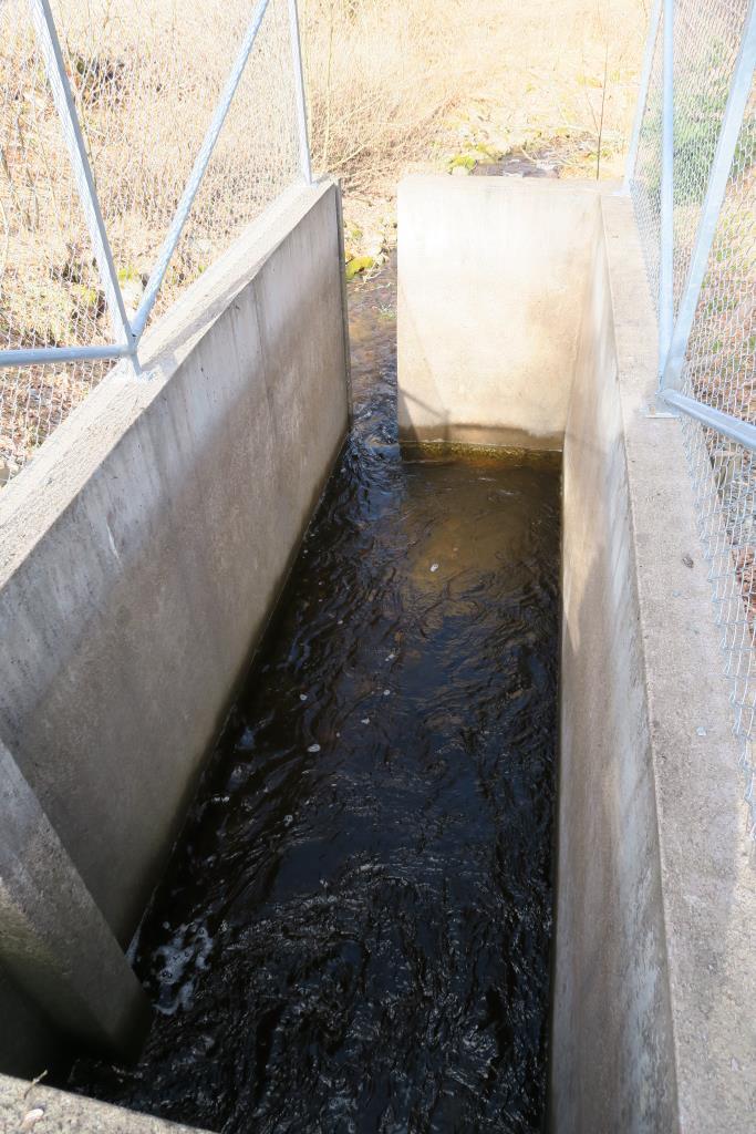 Bild 14. Fiskväg vid Källsviken (tagen ur bruk) Holmsån Till skillnad från Dalbergså vattensystem är förekomsten av dammar och vandringshinder i Holmsån mycket liten.