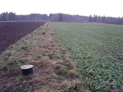 Del 2: Minskad N utlakning Studera N utlakning efter sådd av höstraps och inverkan av rekommenderad N gödsling (3 and 6 kg N/ha).