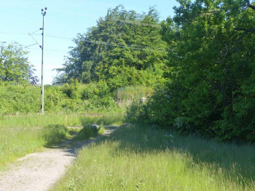 I anslutning till den äldre villabebyggelsen i södra delen av Ödåkra norr om Ekvägen finns en större park.