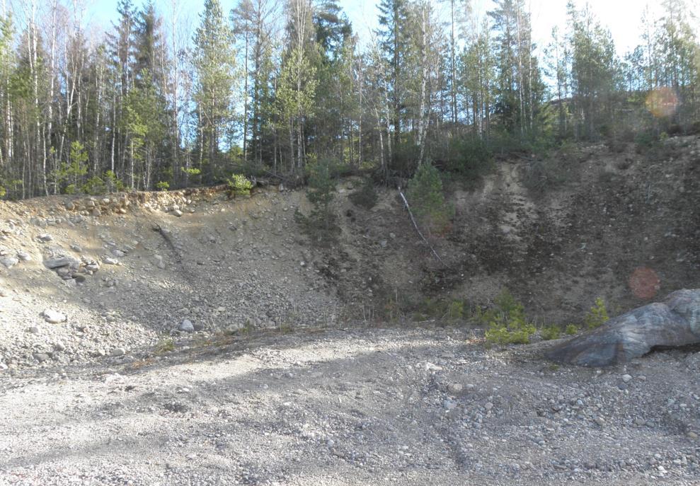 Meoneura triangularis är en i landet sällan påträffad kadaverfluga. Den utvecklas i ruttnande animalier och fanns tillsammans med andra kadaverflugor och asbaggar i ett prov som börjat lukta.