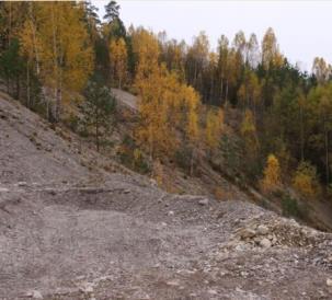 Sandtäkten som ägs av Remi Andre Jacobsen, Koppom, ligger i Skönnerud utanför Koppoms tätort. Täktområdet är stort, c:a 1,5 ha men delvis återställt genom plantering av tall.