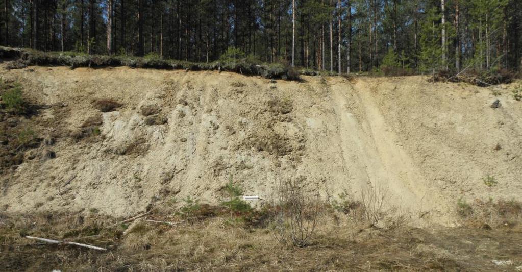 Norra Ämterud - beskrivning Bild 14. Norra Ämterud del av täkt. Observera fällan i mitten av bilden.