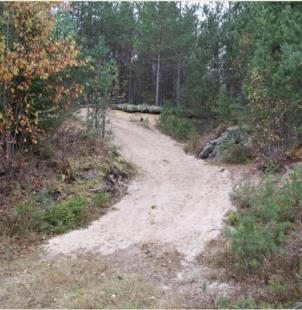 Brynsandbiet (Andrena fulvida) är ett ganska ovanligt sandbi, en skogsart, som pollensamlar på många olika växter. Arten påträffades även i Billefalla.