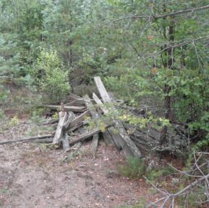 I Norra Ämterud fanns också totalt sett något fler ovanligare sandmarksarter.