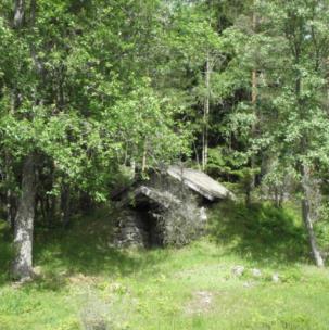 Ta bort björk, al och gallra ganska hårt bland de uppväxande tallarna, spara till den början all salix (sälg och viden). Sälg blommar tidigt på våren och är då en viktig födokälla för t.ex. bin.
