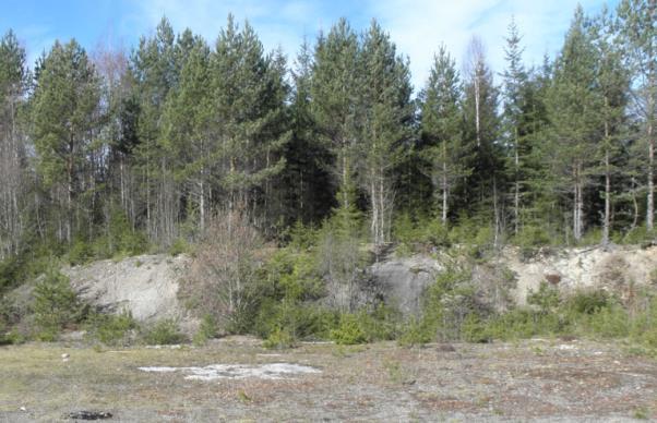 hel del viktiga pollenproducenter som fibblor, ljung och sälg. Bild 7. (T.h) Nässelfjäril - Aglais urticae noterades vid täkten i Skönnerud. Tabell 4. Totalt artantal av fjärilar.