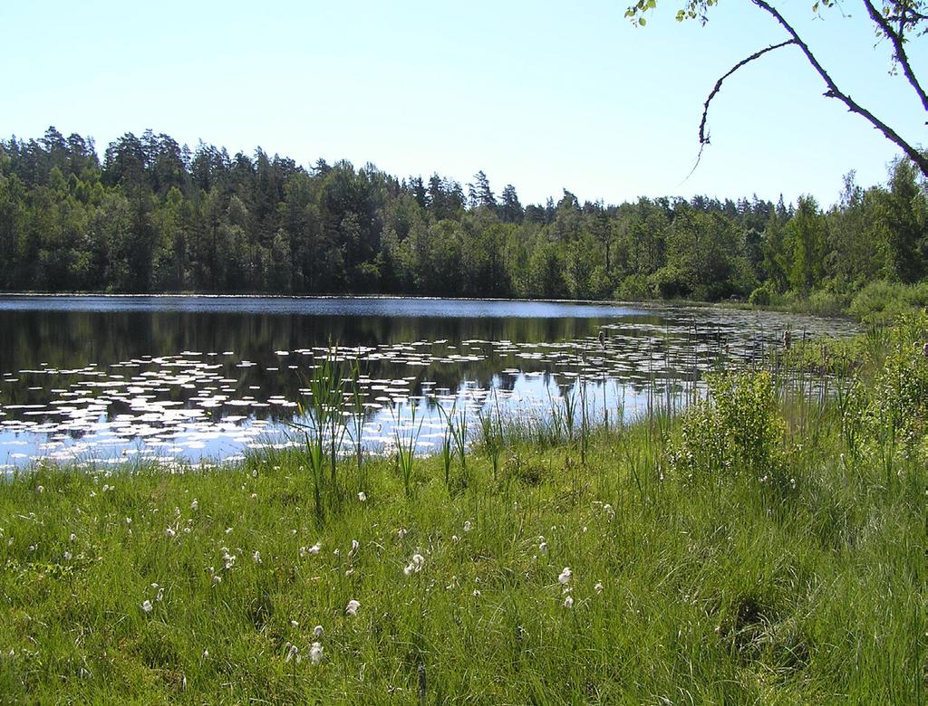 Sländan har en historia av tillbakagång i södra och västra Europa och är klassad som skyddsvärd inom EU. Betydande kunskapsluckor finns vad gäller den svenska utbredningen.
