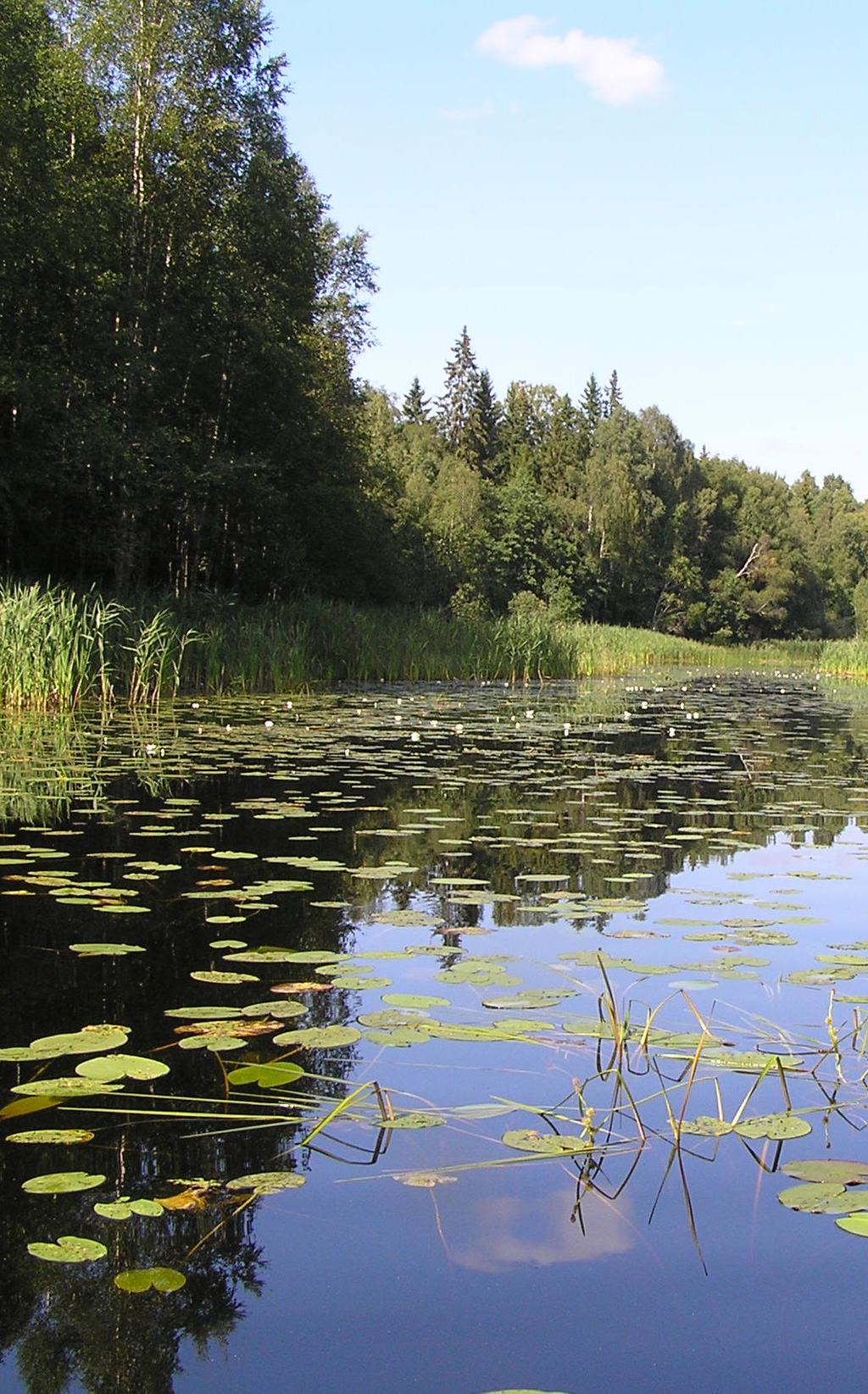 Särskilt förekomst av abborre tros gynna bred kärrtrollslända genom att denna fisk kan äta stora mängder av mosaiksländelarver, men inte larver av bred kärrtrollslända.