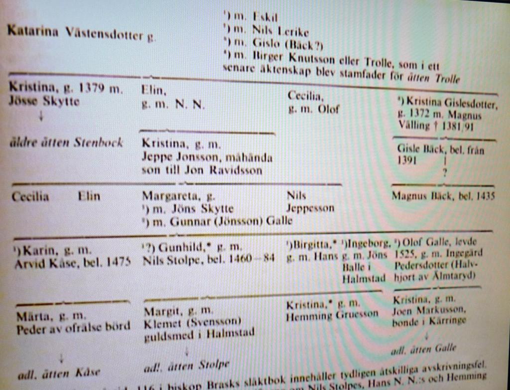 Skytte, Stolpe, Galle 61:1 Jöns Skytte, Stolpe, Galle Katarina Vastesdotters barn och giften Stig Östenssons tolkning av en släkttavla i biskop Hans Brasks