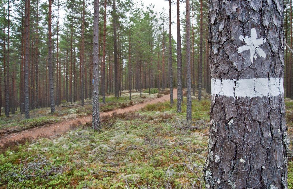 Fastighetsförvaltning och gränser (F) Länsstyrelsen utför på uppdrag av Naturvårdsverket viss fastighetsförvaltning i de naturskyddade områdena.